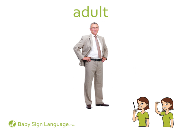 Adult Baby Sign Language Flash card