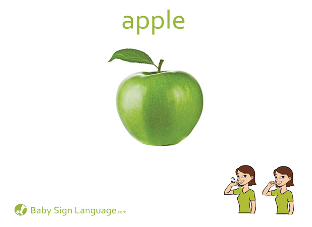 Apple Baby Sign Language Flash card