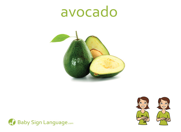 Avocado Baby Sign Language Flash card