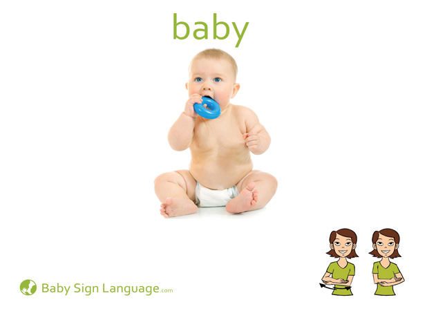 Baby Baby Sign Language Flash card