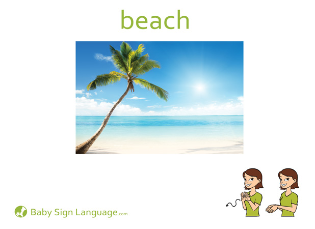 Beach Baby Sign Language Flash card