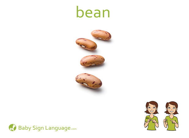 Bean Baby Sign Language Flash card