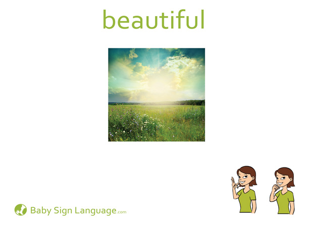 Beautiful Baby Sign Language Flash card