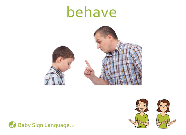 Behave Baby Sign Language Flash card