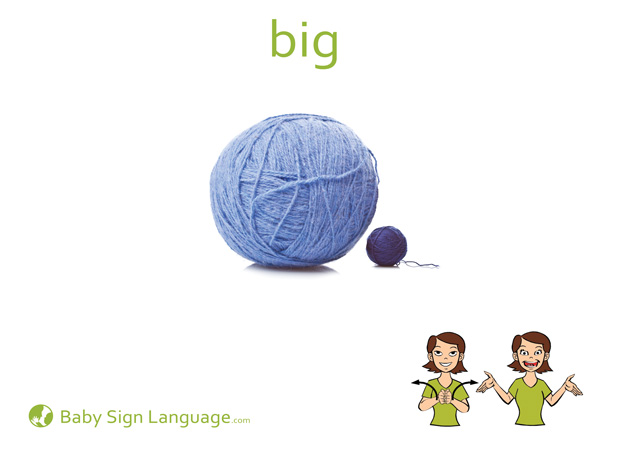 Big Baby Sign Language Flash card