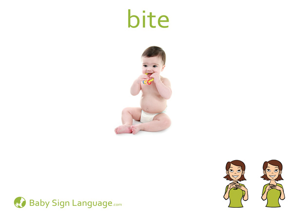 Bite Baby Sign Language Flash card