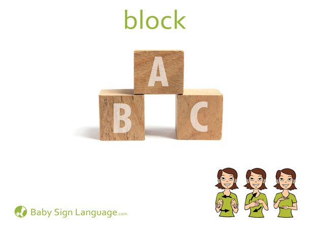 Block Baby Sign Language Flash card