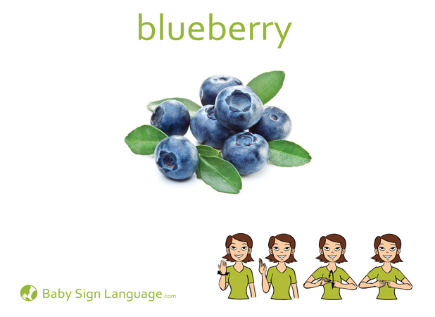 Blueberry Baby Sign Language Flash card