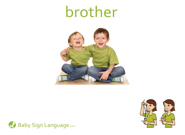 Brother Baby Sign Language Flash card