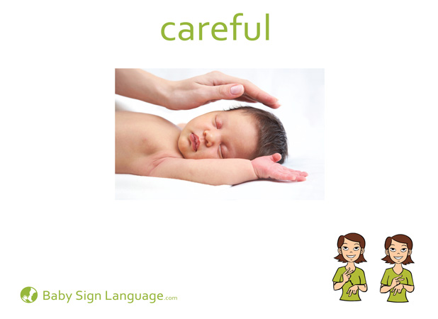 Careful Baby Sign Language Flash card