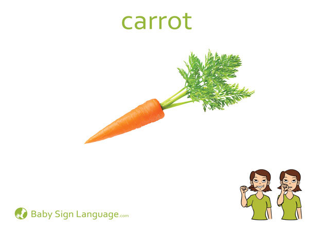 Carrot Baby Sign Language Flash card
