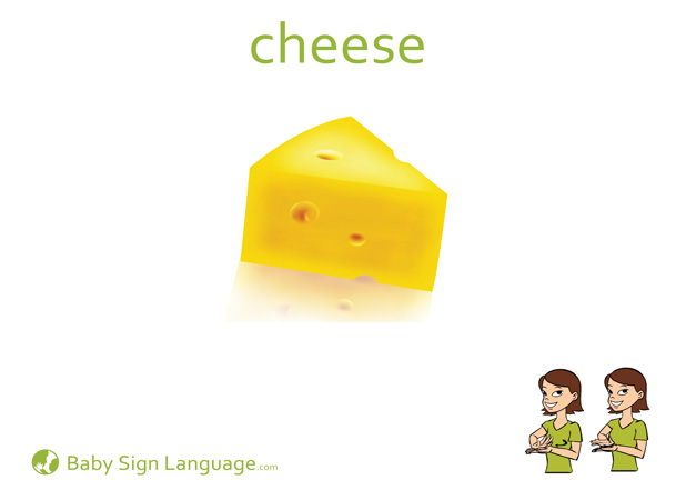 Cheese Baby Sign Language Flash card
