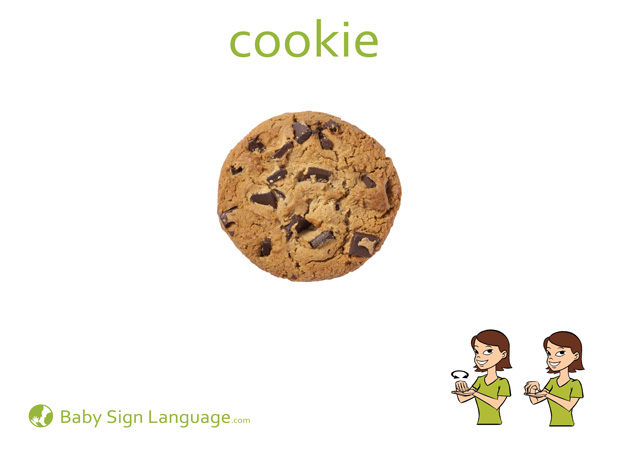 Cookie Baby Sign Language Flash Card