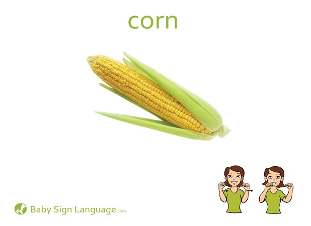 Corn Baby Sign Language Flash card