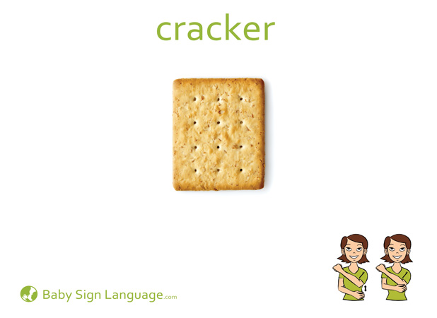 Cracker Baby Sign Language Flash card