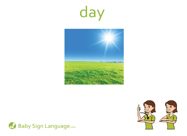 Day Baby Sign Language Flash card