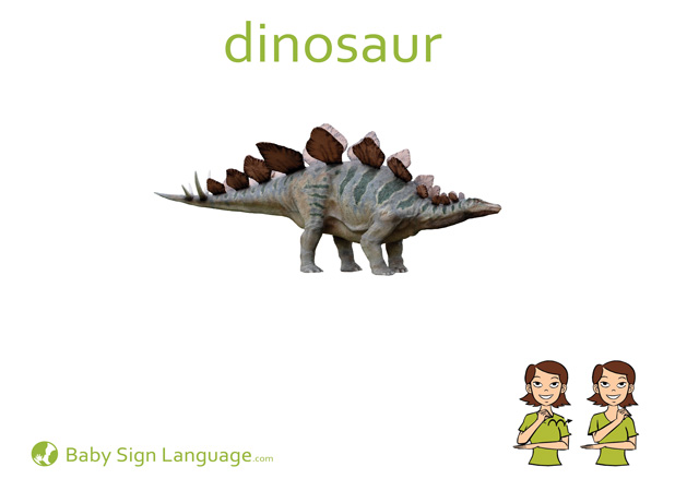 Dinosaur Baby Sign Language Flash card