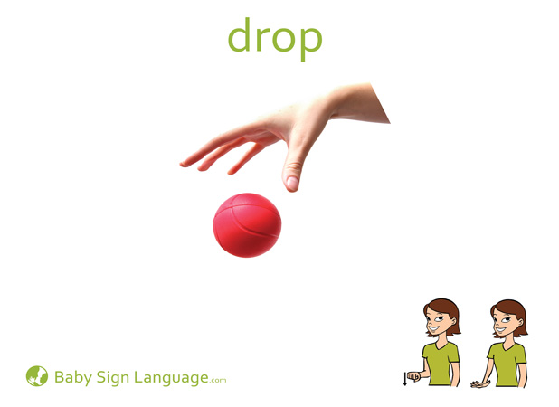 Drop Baby Sign Language Flash card