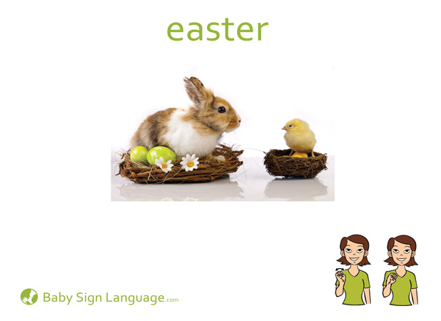 Easter Baby Sign Language Flash card