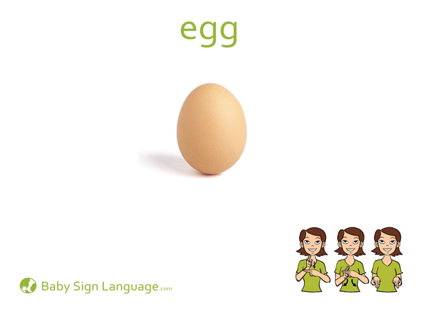 Egg Baby Sign Language Flash card