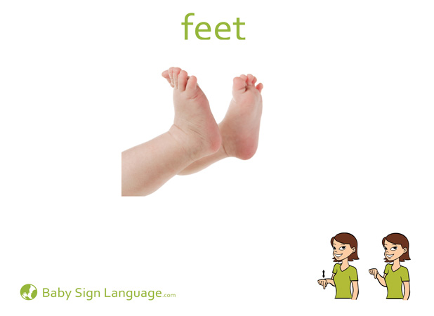Feet Baby Sign Language Flash card