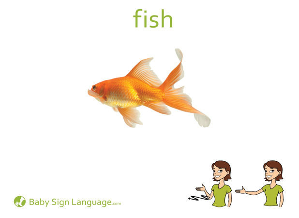 Fish Baby Sign Language Flash card