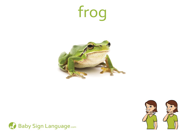 Frog Baby Sign Language Flash card