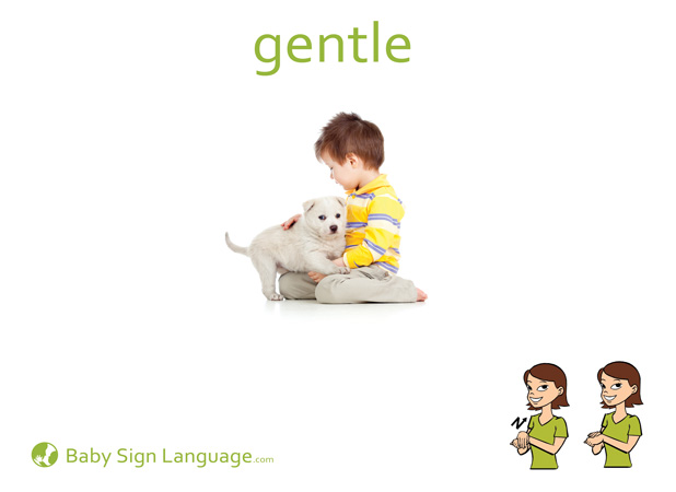 Gentle Baby Sign Language Flash card