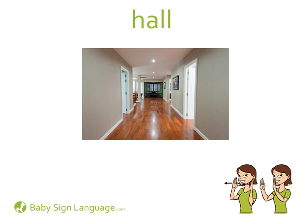 Hall Baby Sign Language Flash card
