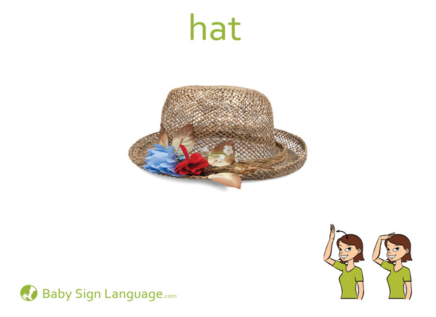 Hat Baby Sign Language Flash card