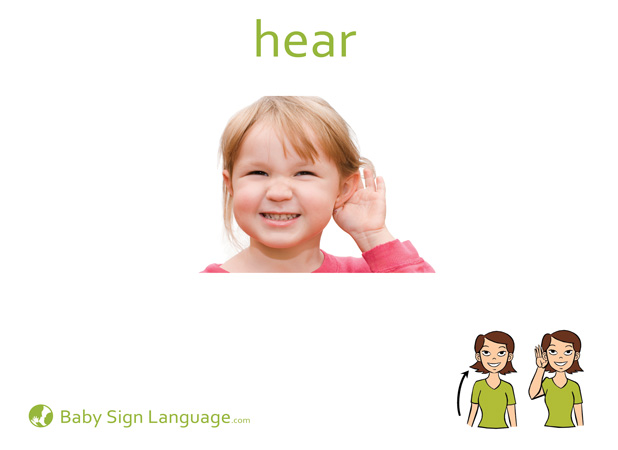 Hear Baby Sign Language Flash card
