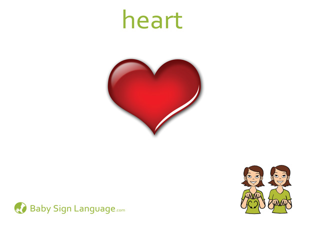 Heart Baby Sign Language Flash card