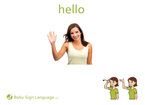 Hello Baby Sign Language Flash card
