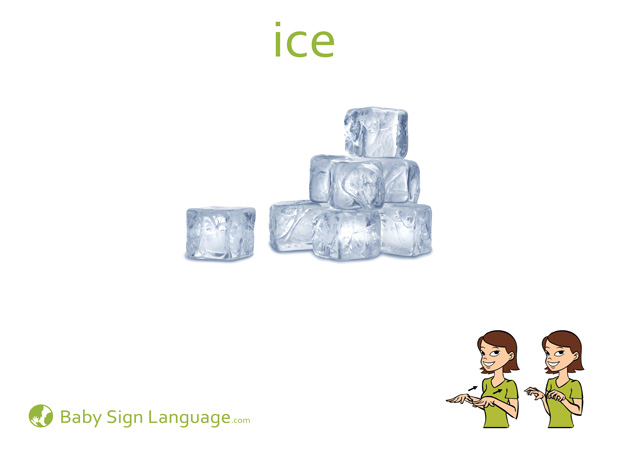Ice Baby Sign Language Flash card