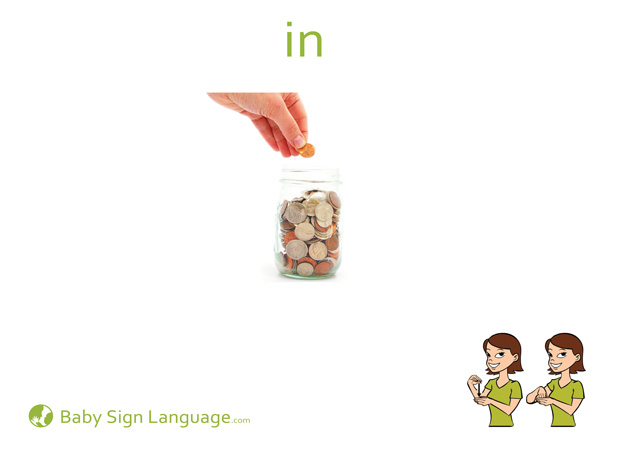 In Baby Sign Language Flash card