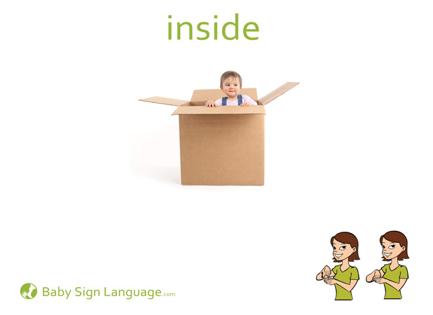 Inside Baby Sign Language Flash card
