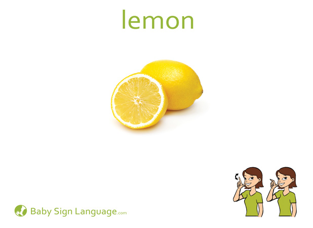 Lemon Baby Sign Language Flash card