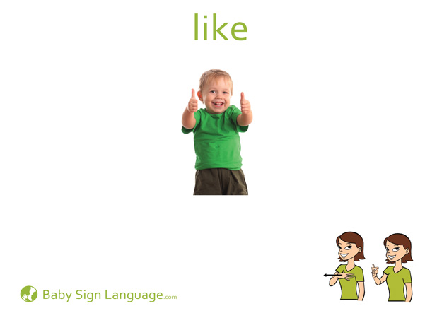 Like Baby Sign Language Flash card