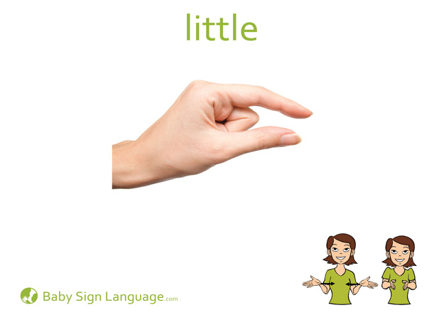 Little Baby Sign Language Flash card