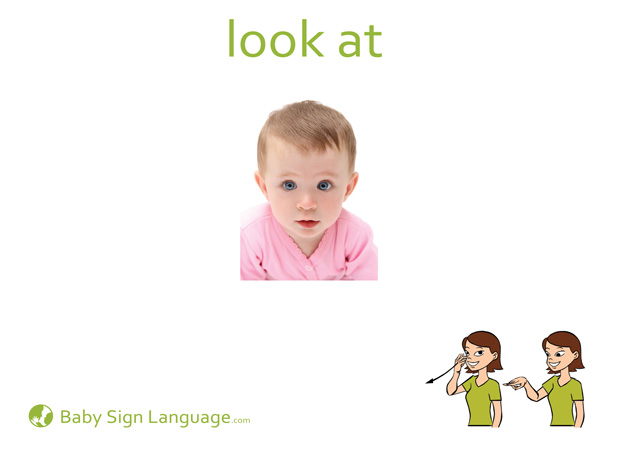 Look At Baby Sign Language Flash card