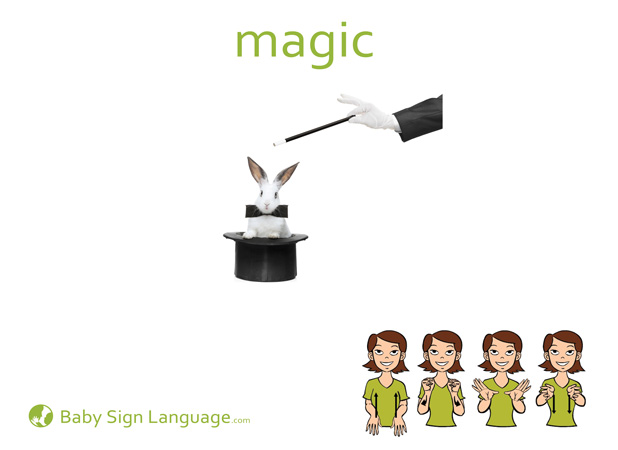 Magic Baby Sign Language Flash card