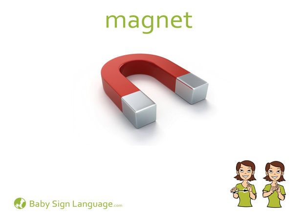 Magnet Baby Sign Language Flash card