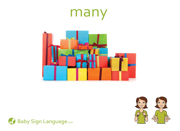 Many Baby Sign Language Flash card