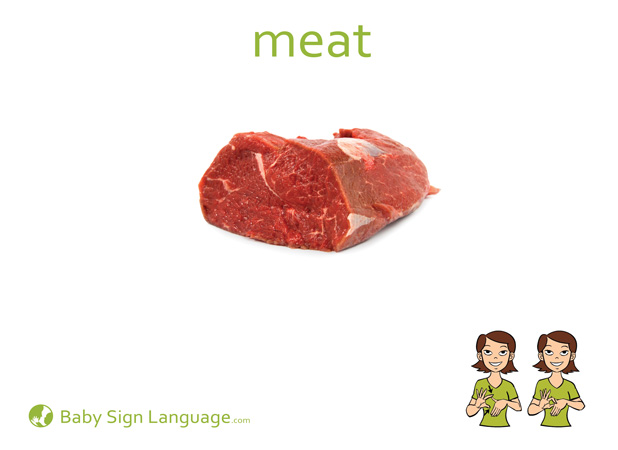 Meat Baby Sign Language Flash card
