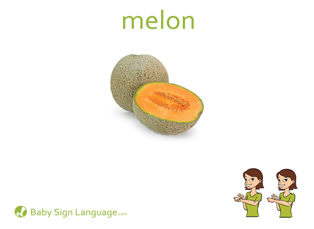 Melon Baby Sign Language Flash card
