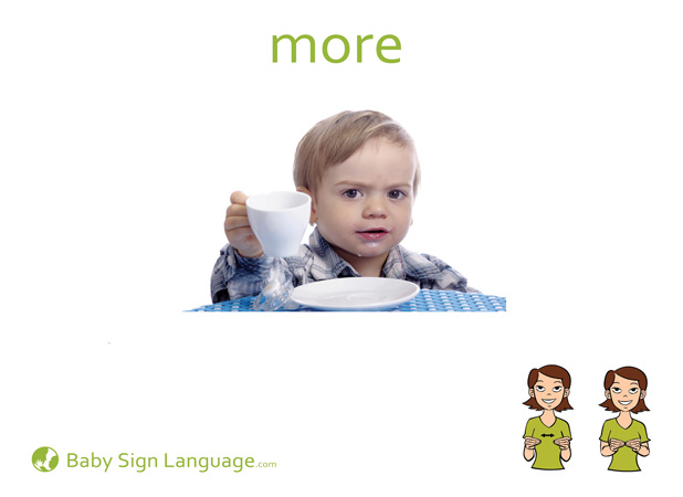 More Baby Sign Language Flash card