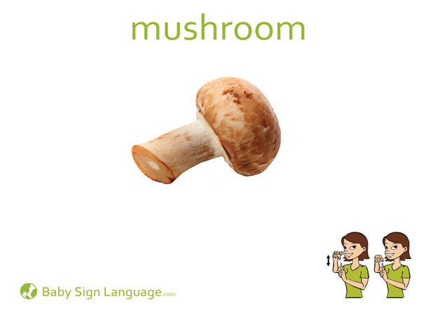 Mushroom Baby Sign Language Flash card
