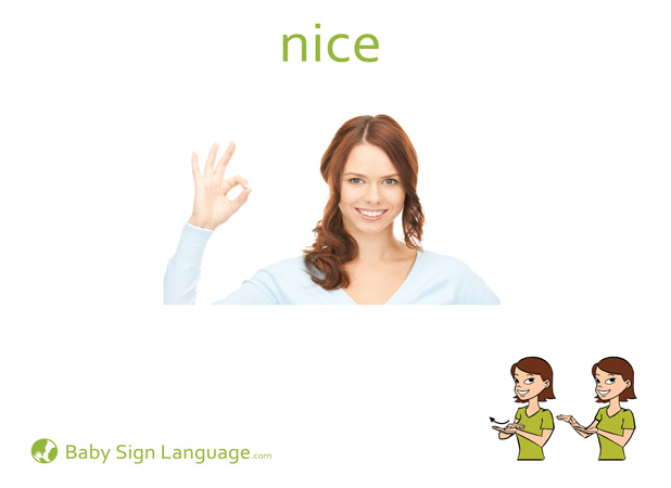 Nice Baby Sign Language Flash card