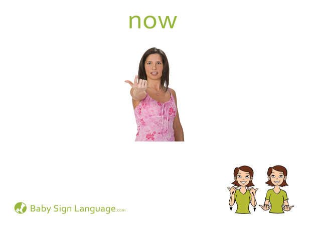 Now Baby Sign Language Flash card