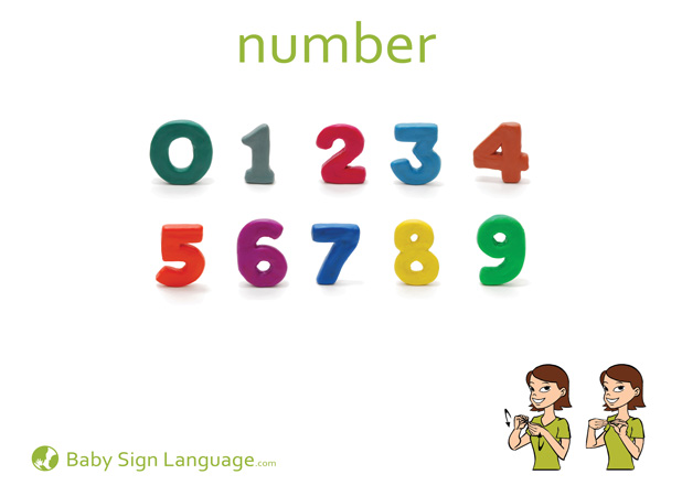 Number Baby Sign Language Flash card